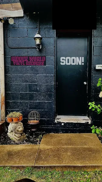Record Store: Hidden World Vinyl Records