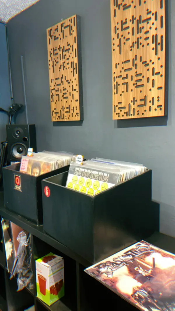 Record Store: Cosmik Records