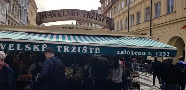 Record store thumbnail: Maximum Underground