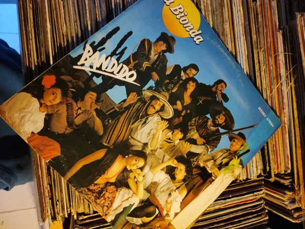 Record Store: EL DISCO DE VINILO