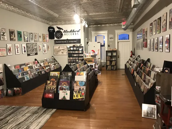 Record store thumbnail: Operation Fandom & Blackbird Records