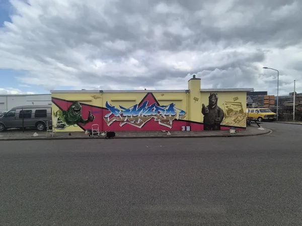 Record Store: Limited item lovers