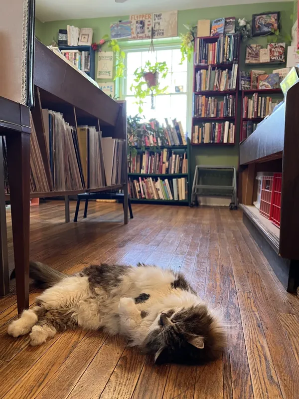 Record Store: Irvington Vinyl & Books