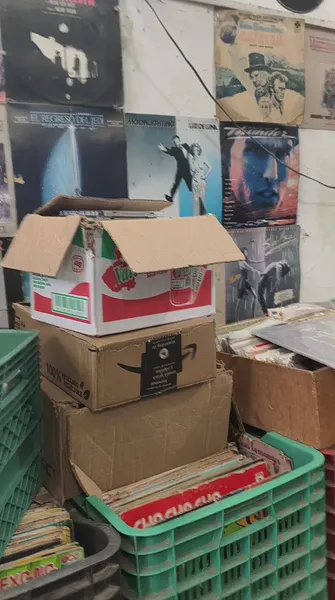 Record Store: Moby Disc