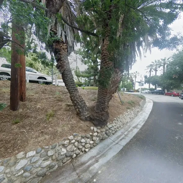 Record store thumbnail: SAXONWAX - specialty 45rpm Records 1950s - 60s - buy & sell