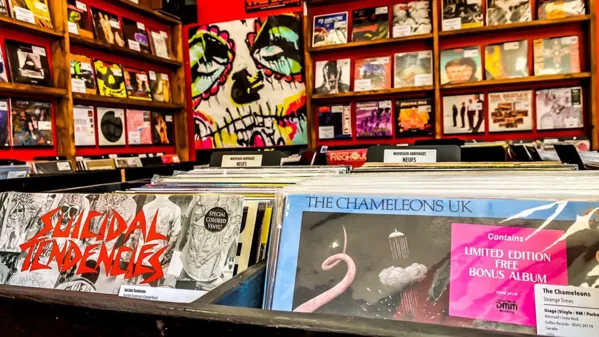 Planète Claire - Disquaire