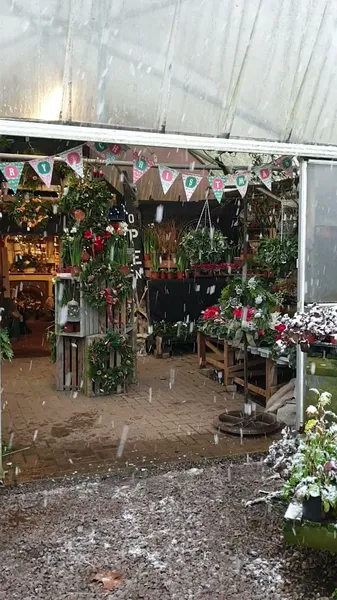 Record store thumbnail: Church View Nursery Leicester