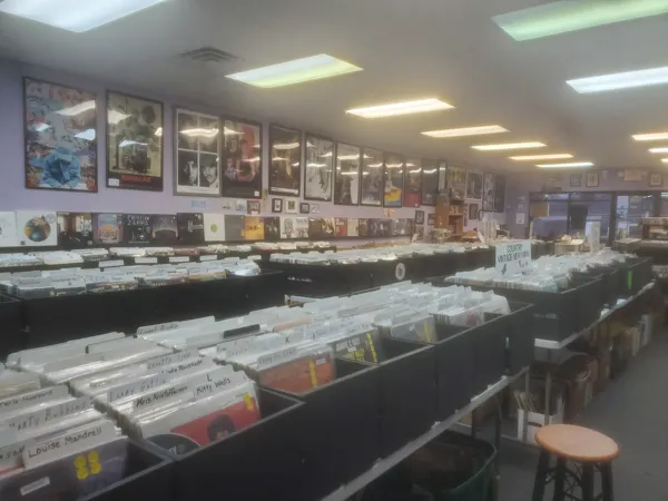 Record Store: 3 Dachshunds