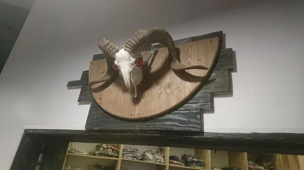 Record Store: White Trash