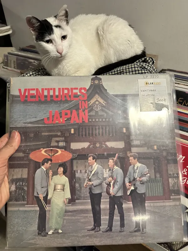 Record store thumbnail: Plakhane