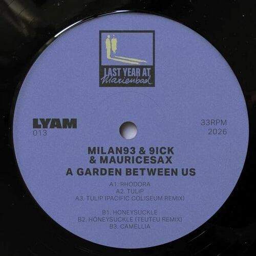 A Garden Between Us - Vinyl release thumbnail